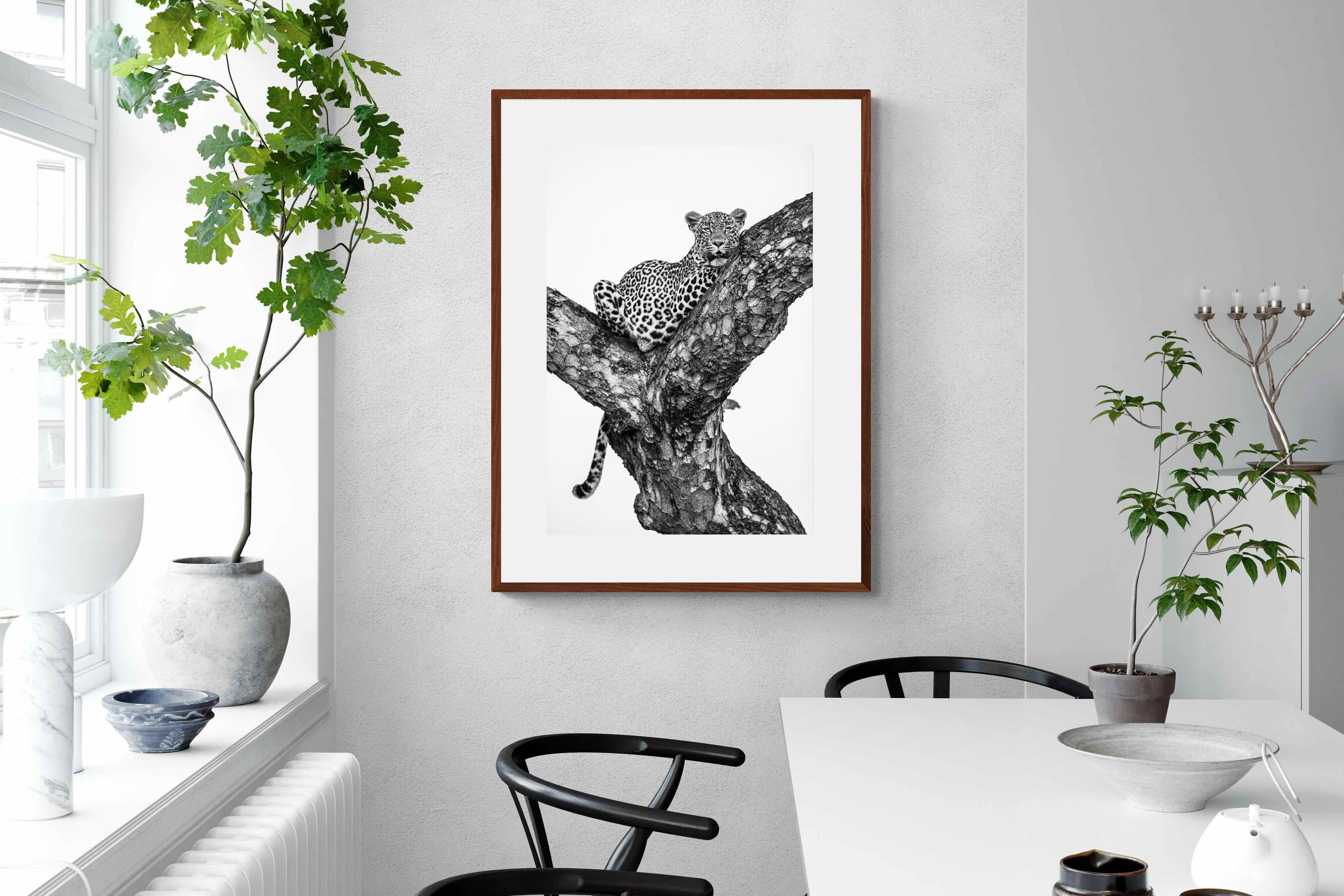 Pixalot ® Leopard Lookout