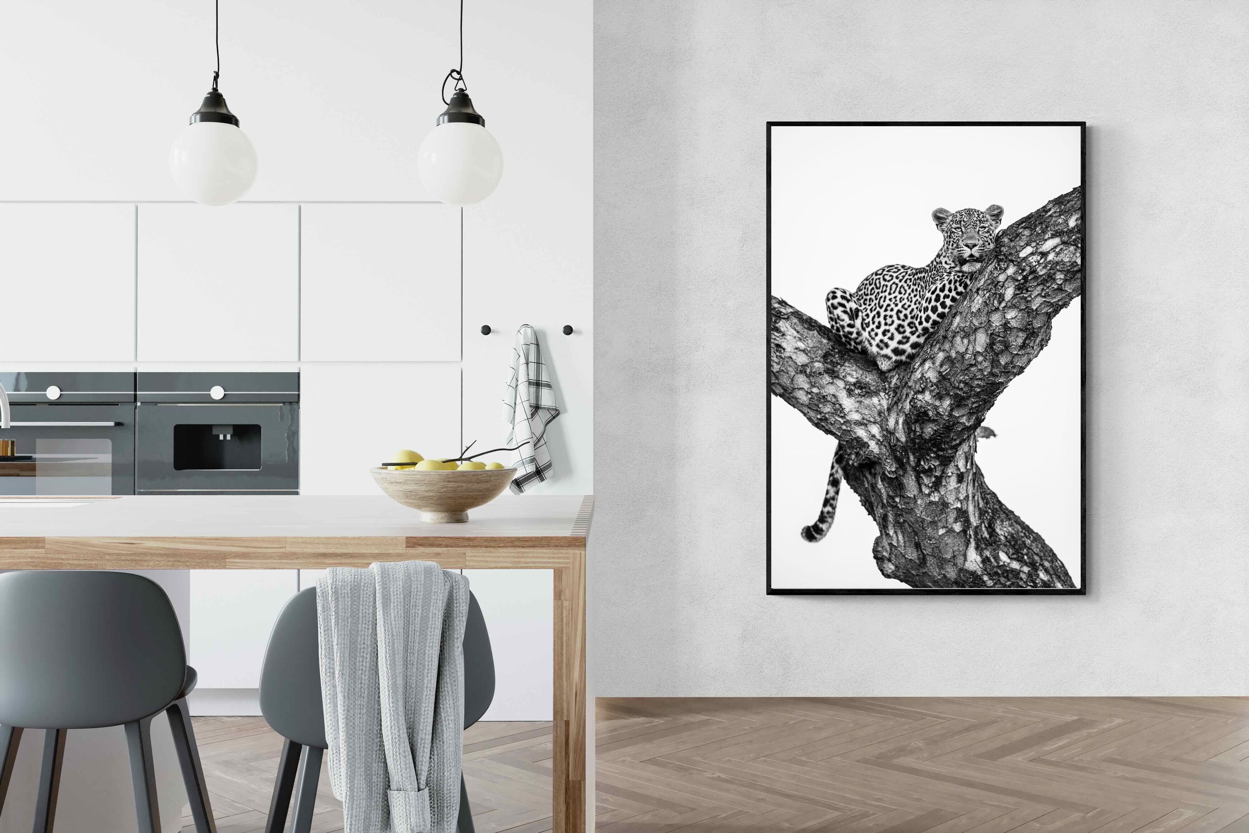 Pixalot ® Leopard Lookout
