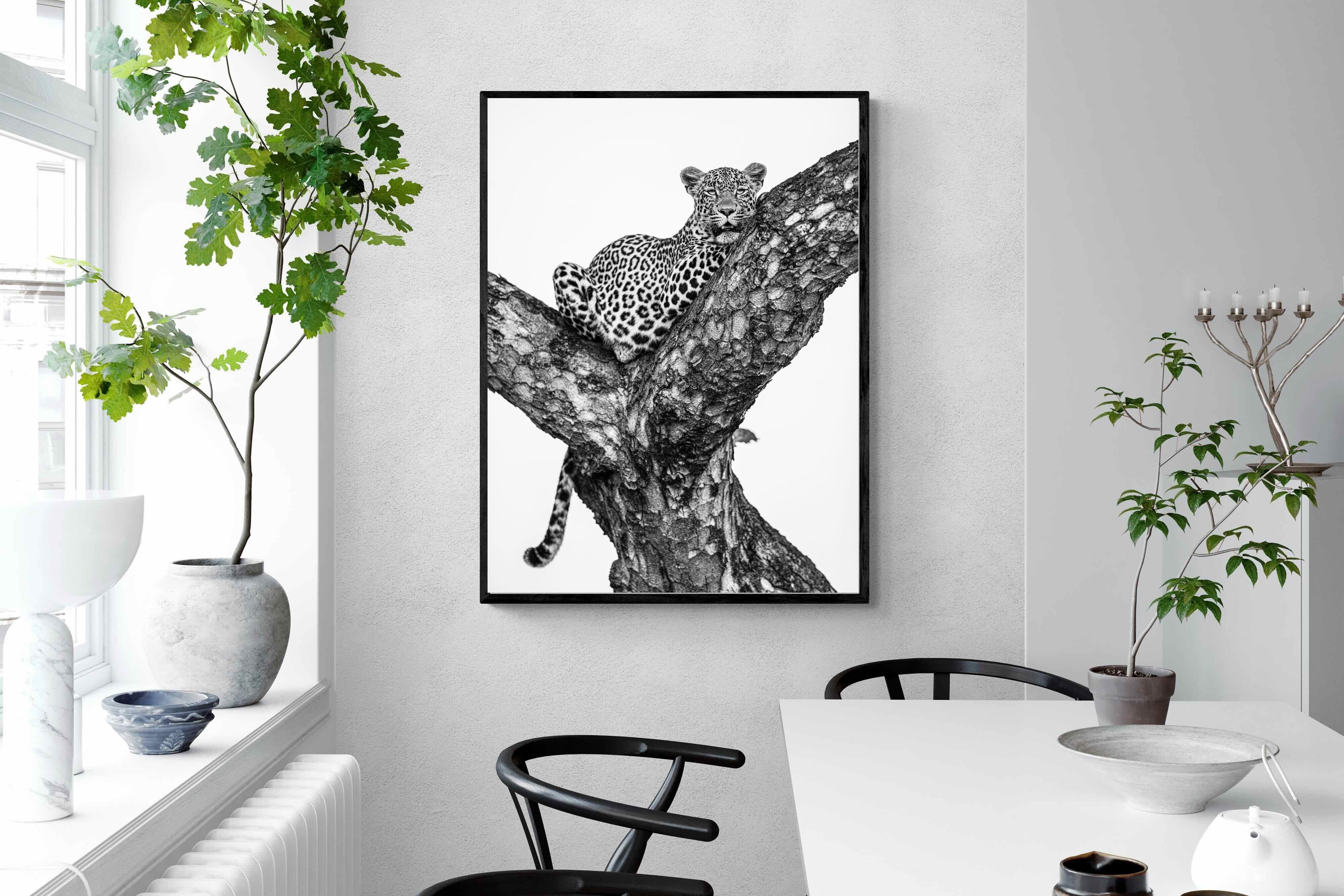 Pixalot ® Leopard Lookout