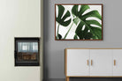 Pixalot ® Monstera