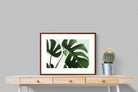 Pixalot ® Monstera