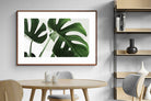 Pixalot ® Monstera