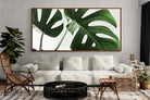 Pixalot ® Monstera