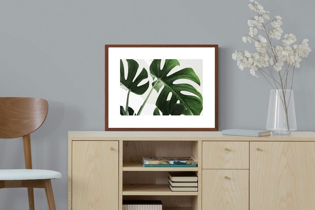 Pixalot ® Monstera