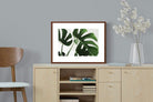 Pixalot ® Monstera