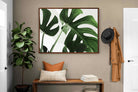 Pixalot ® Monstera