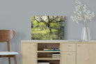 Pixalot ® Orchard at Eemnes