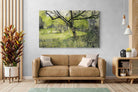 Pixalot ® Orchard at Eemnes