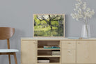 Pixalot ® Orchard at Eemnes