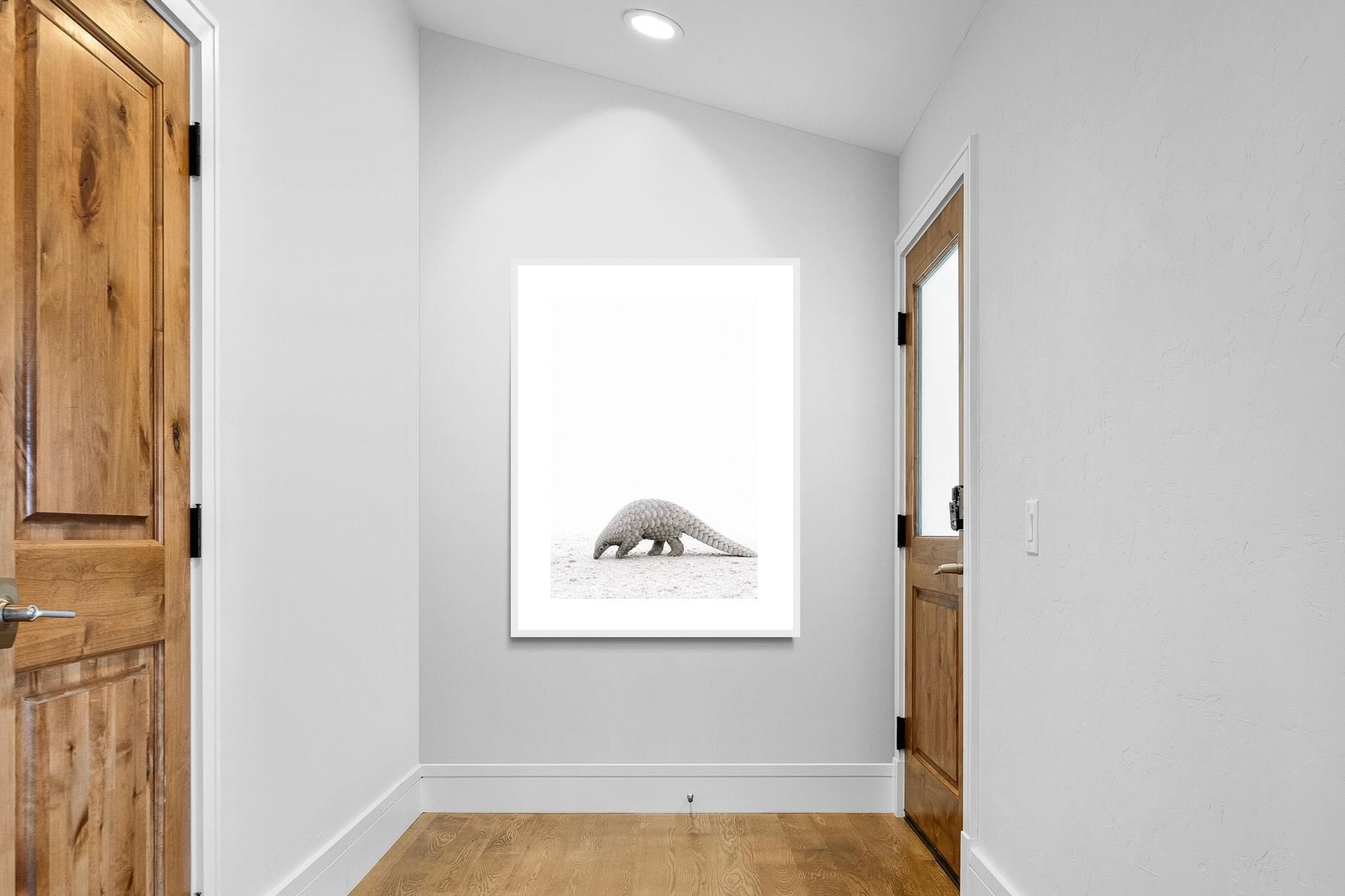 Pixalot ® Pangolin