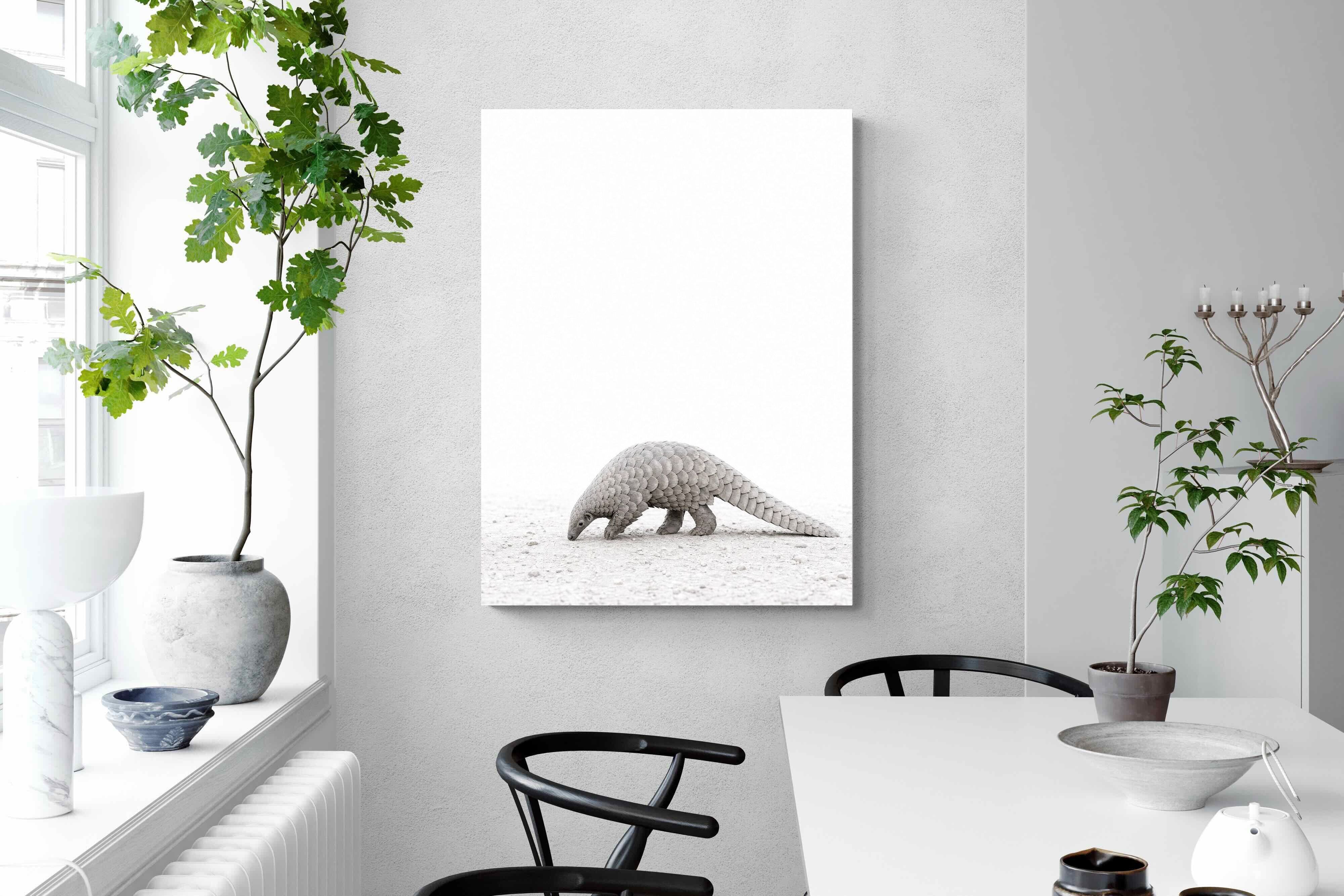 Pixalot ® Pangolin