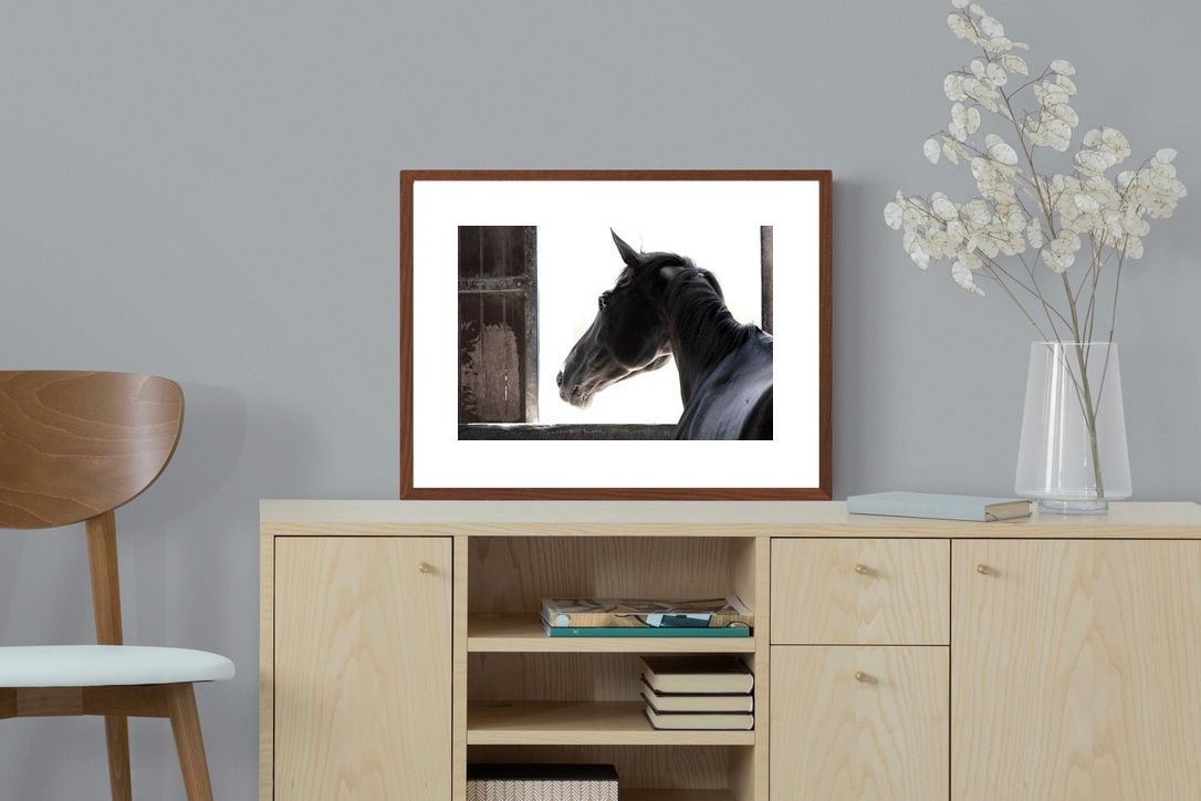 Pixalot ® Racehorse