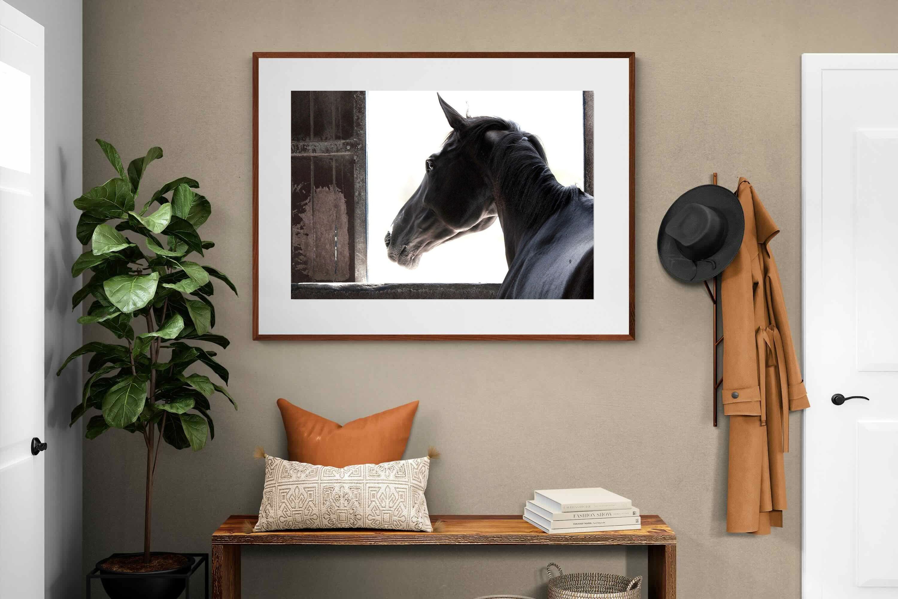 Pixalot ® Racehorse