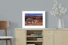 Pixalot ® Rhino Road