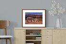 Pixalot ® Rhino Road