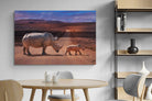 Pixalot ® Rhino Road