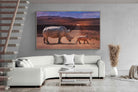 Pixalot ® Rhino Road