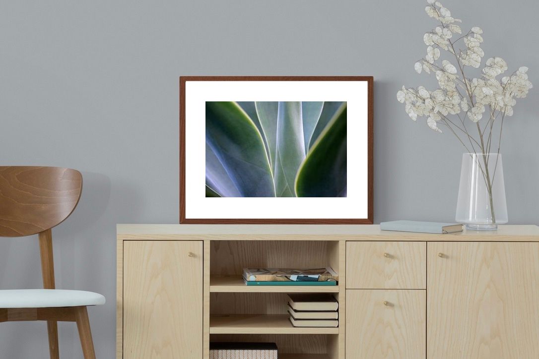 Pixalot ® Silky Leaves