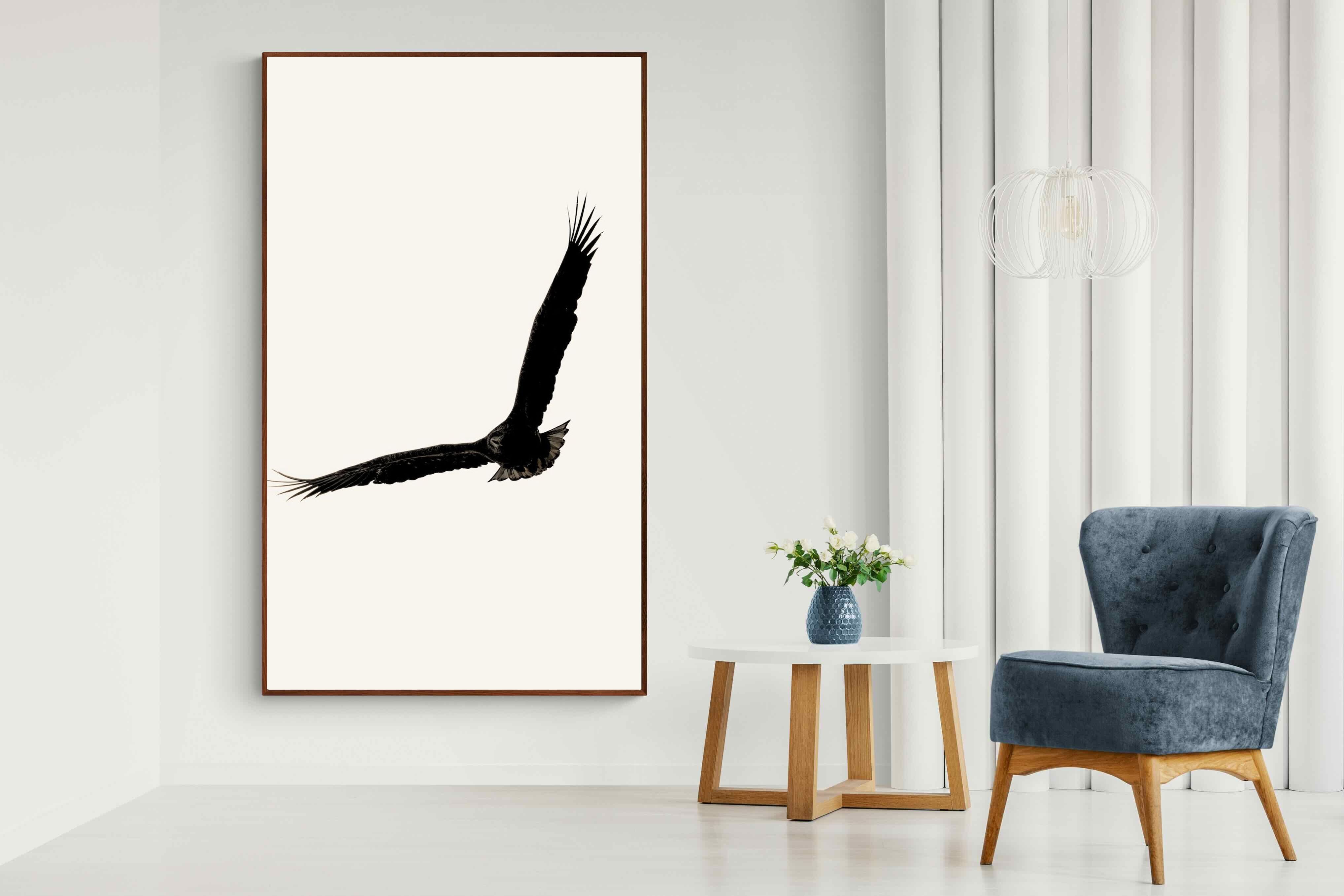 Pixalot ® Soaring Eagle