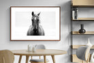 Pixalot ® Stallion