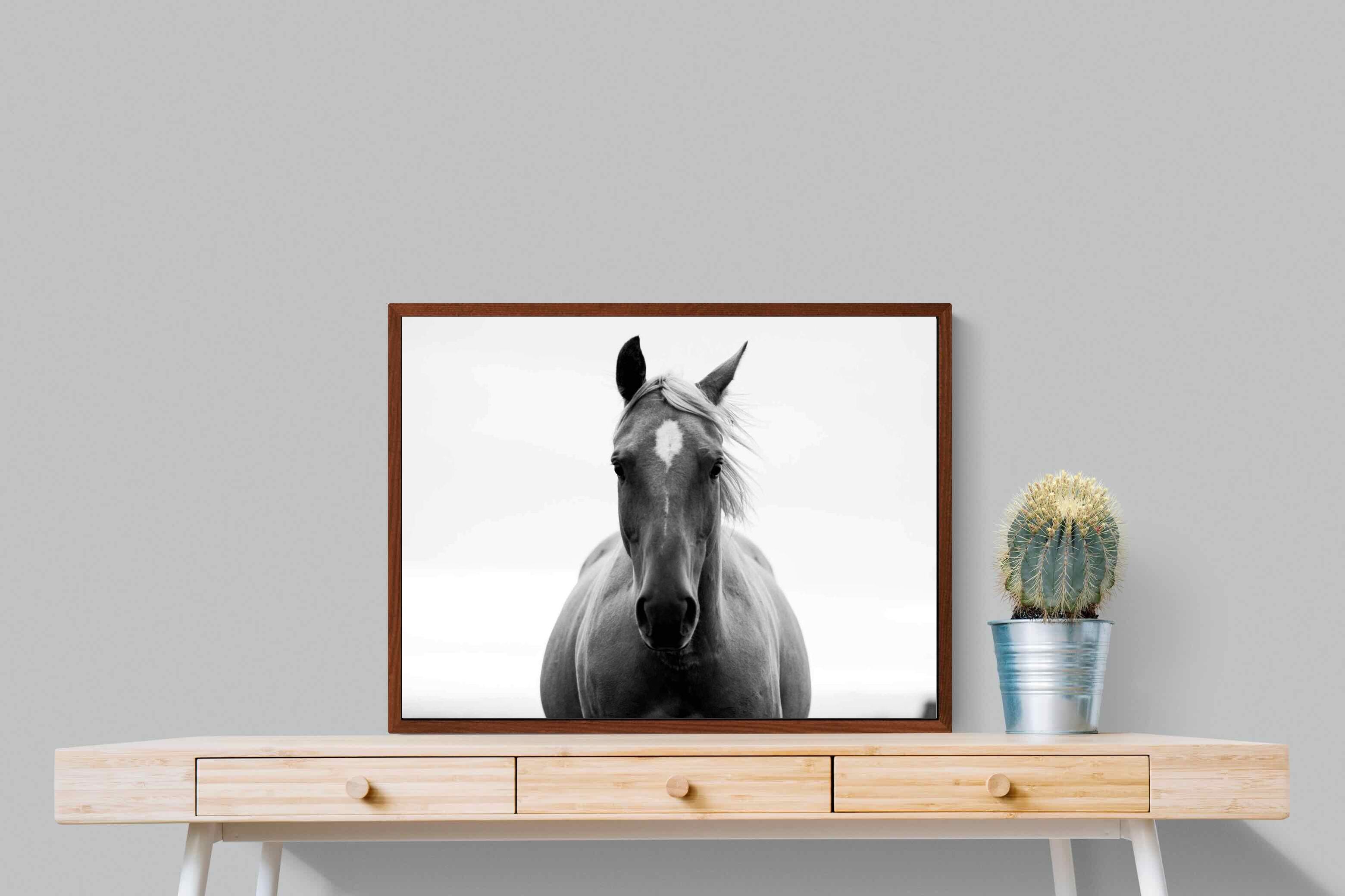 Pixalot ® Stallion