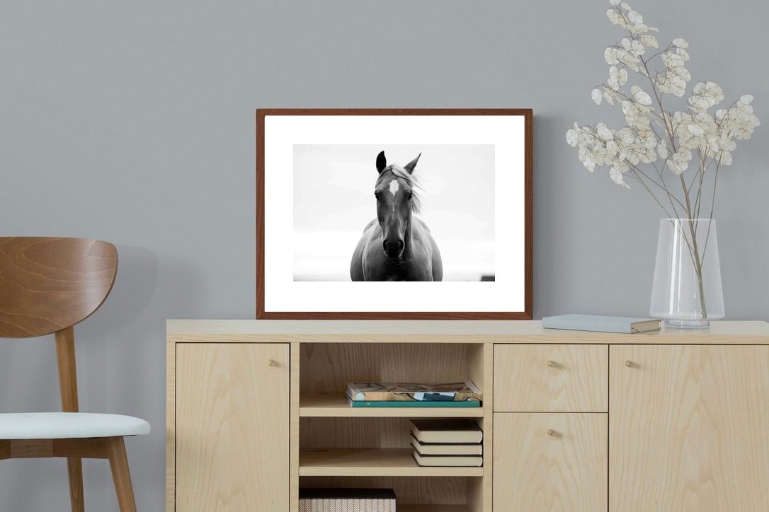 Pixalot ® Stallion