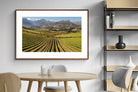 Pixalot ® Stellenbosch