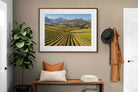 Pixalot ® Stellenbosch