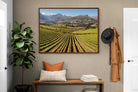 Pixalot ® Stellenbosch