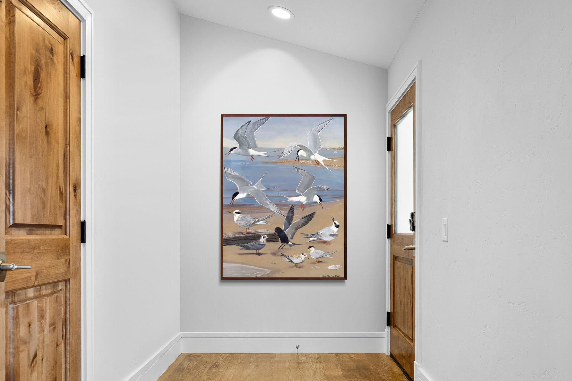 Pixalot ® Terns