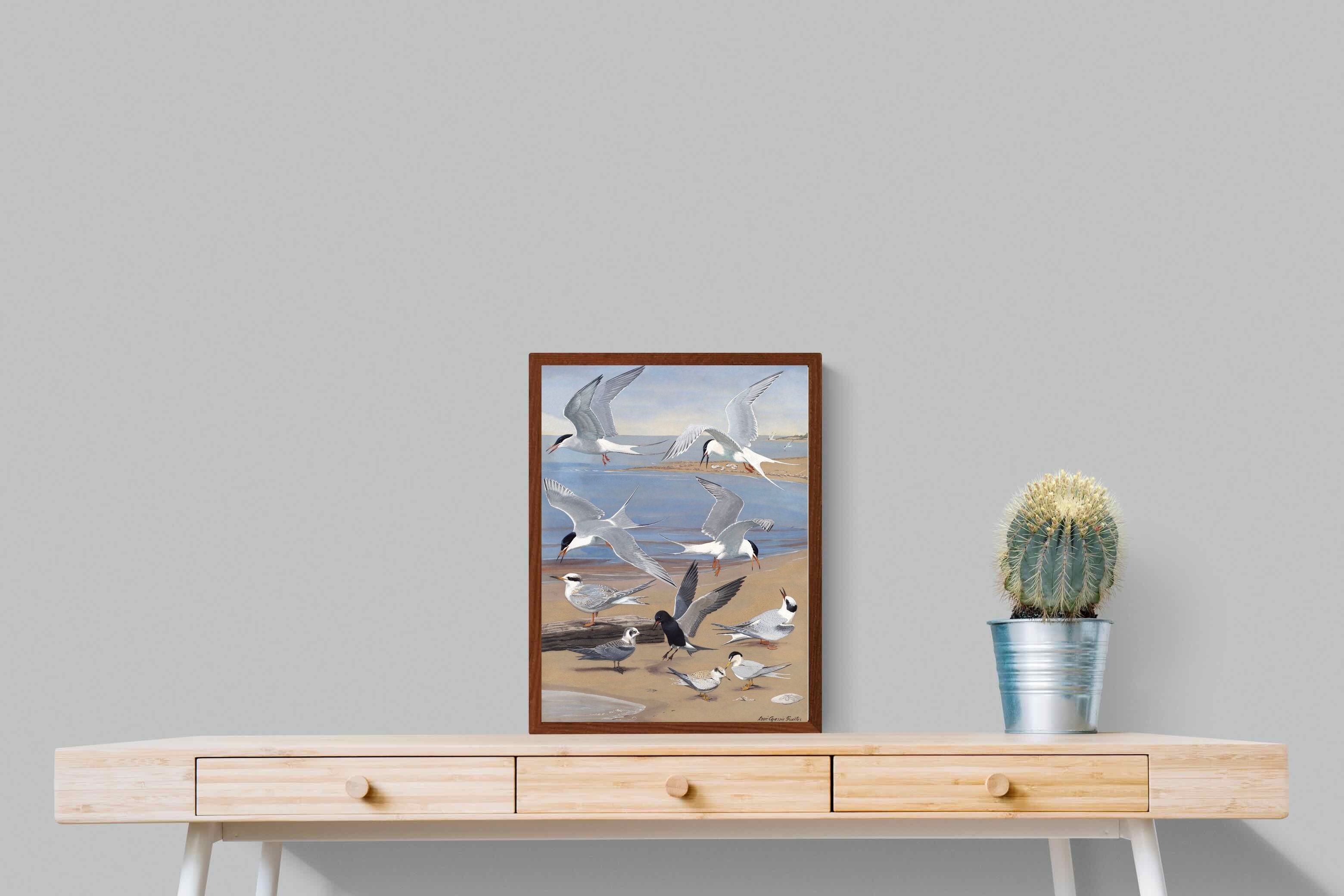 Pixalot ® Terns