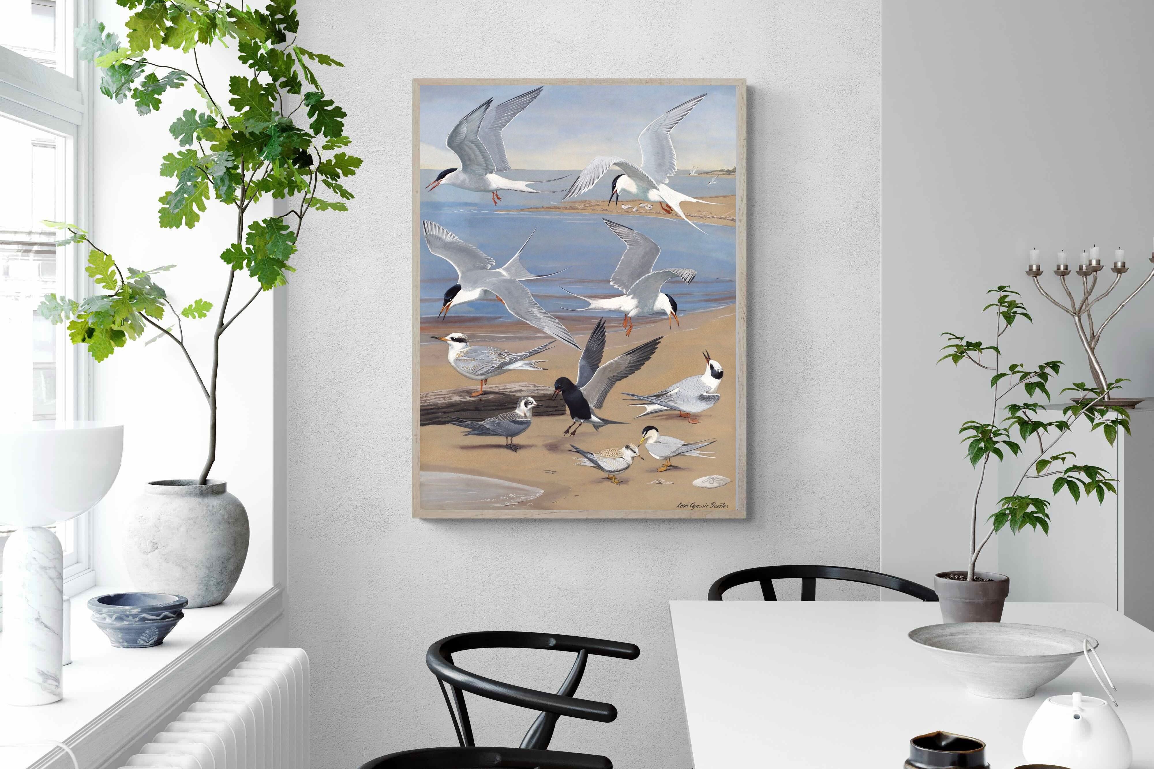Pixalot ® Terns