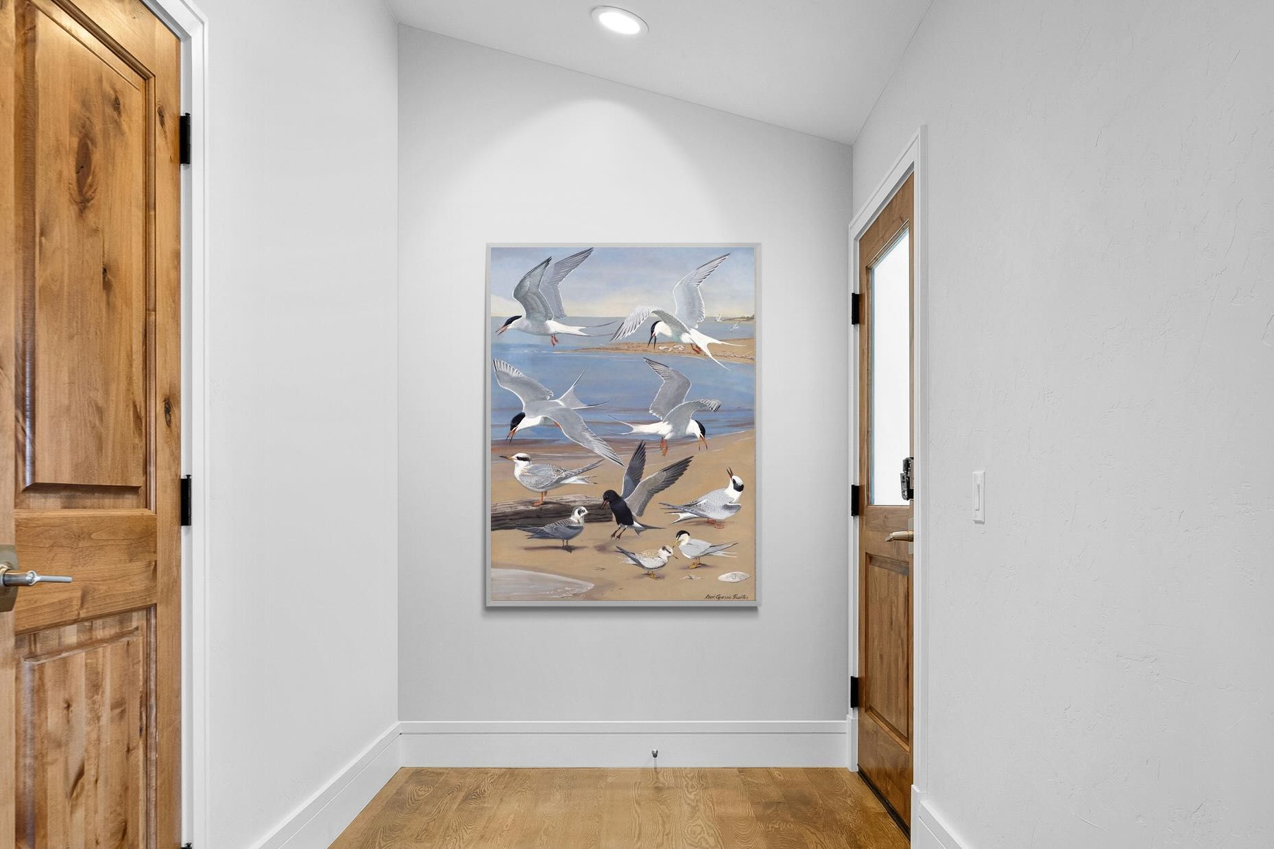 Pixalot ® Terns