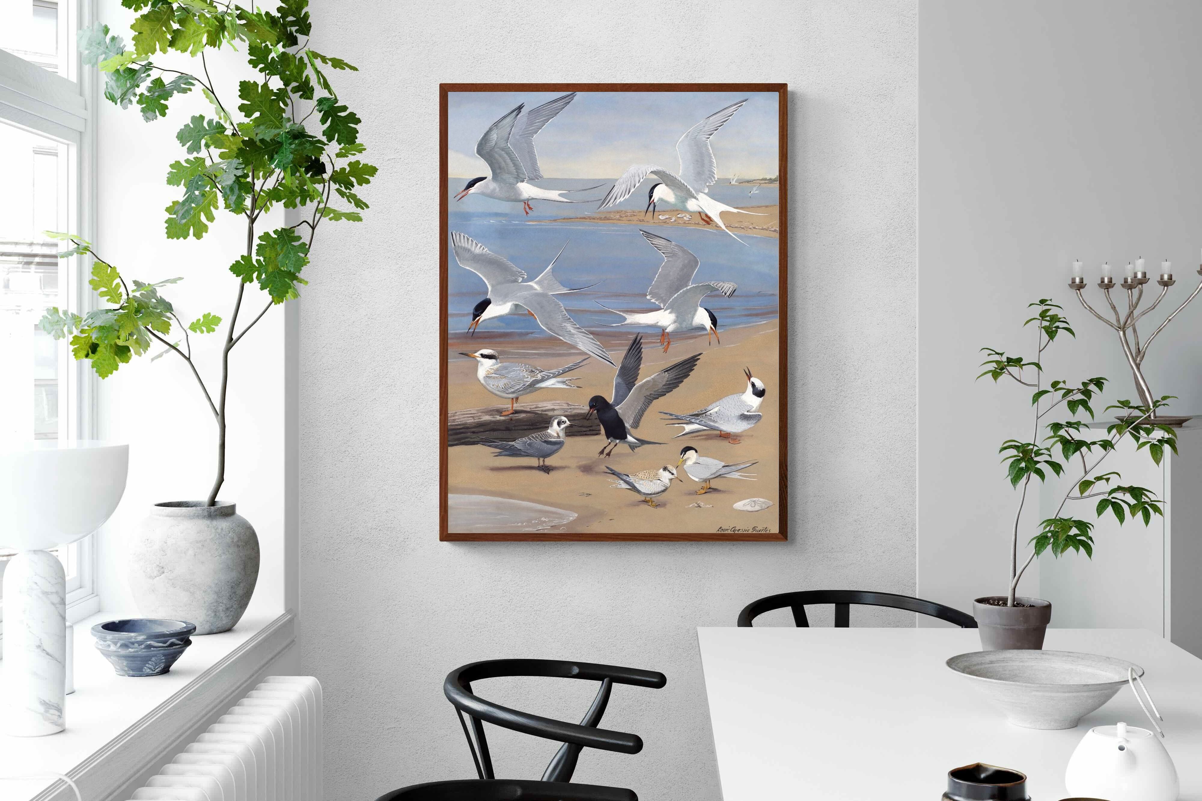 Pixalot ® Terns