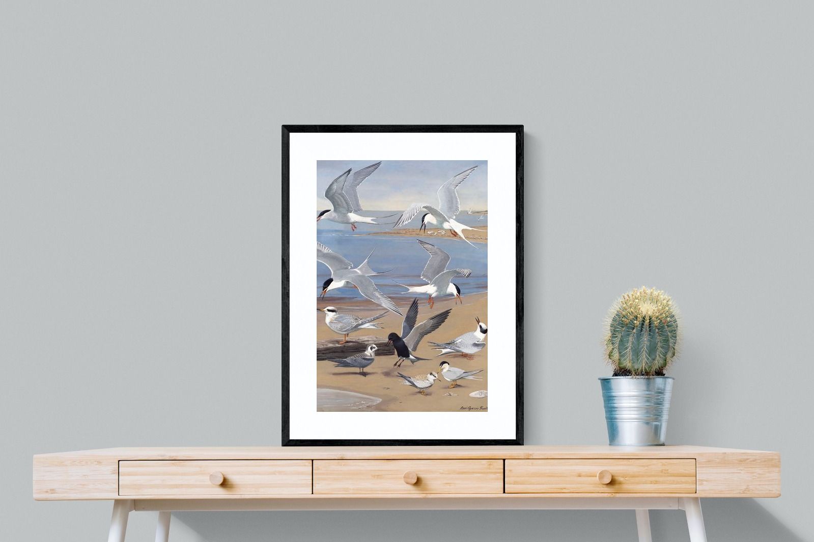 Pixalot ® Terns