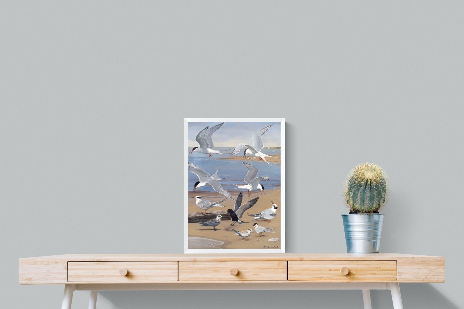 Pixalot ® Terns