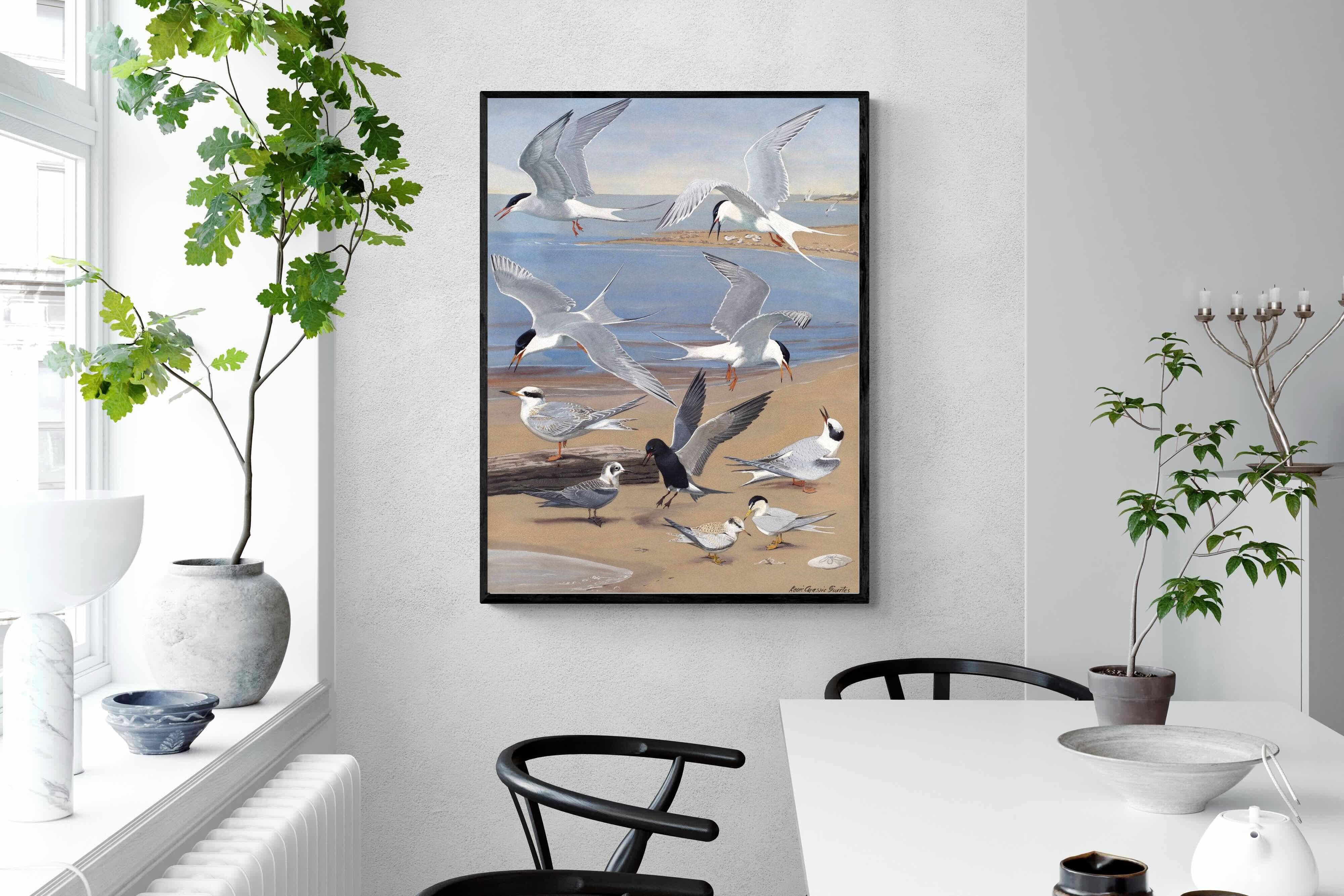 Pixalot ® Terns