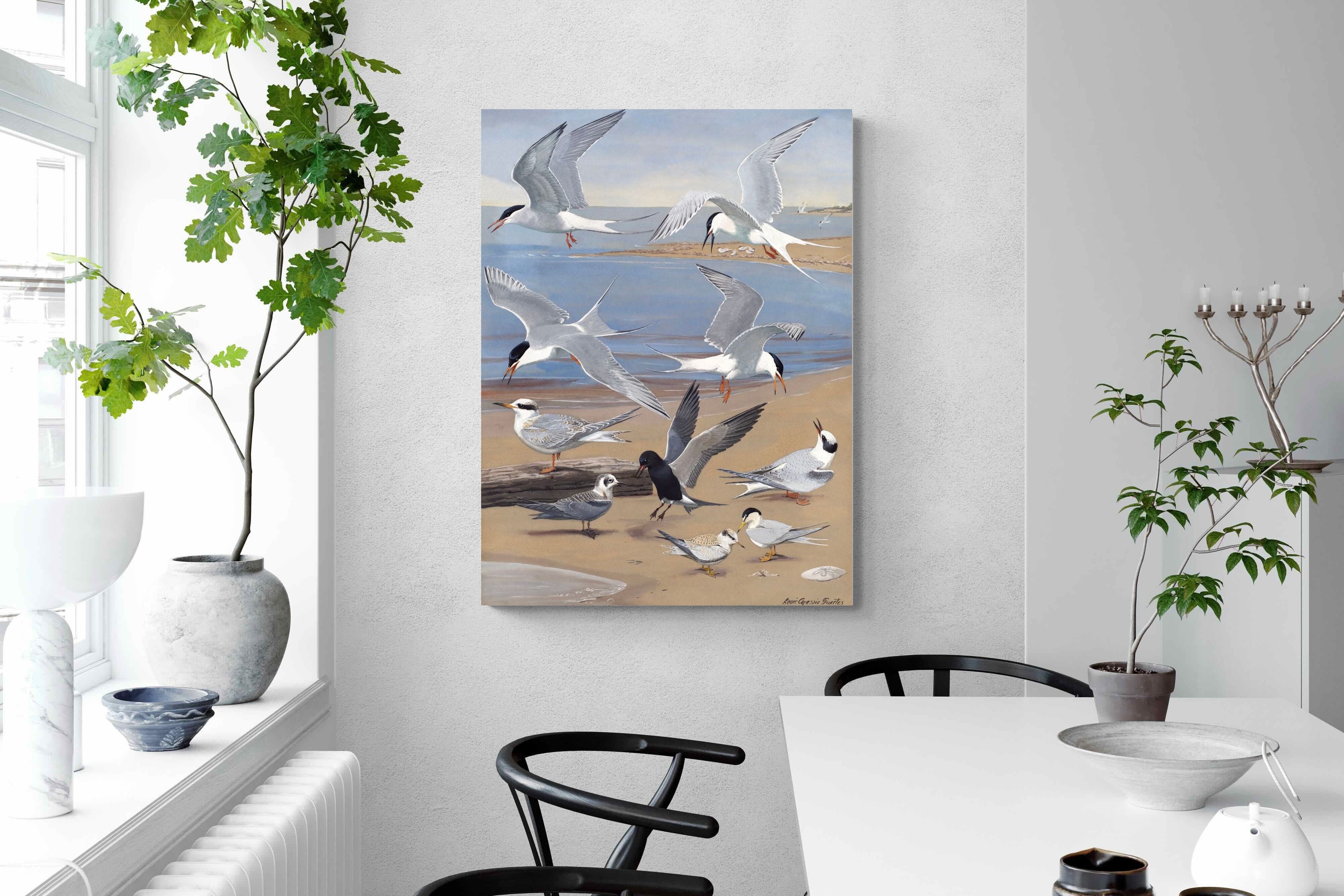 Pixalot ® Terns