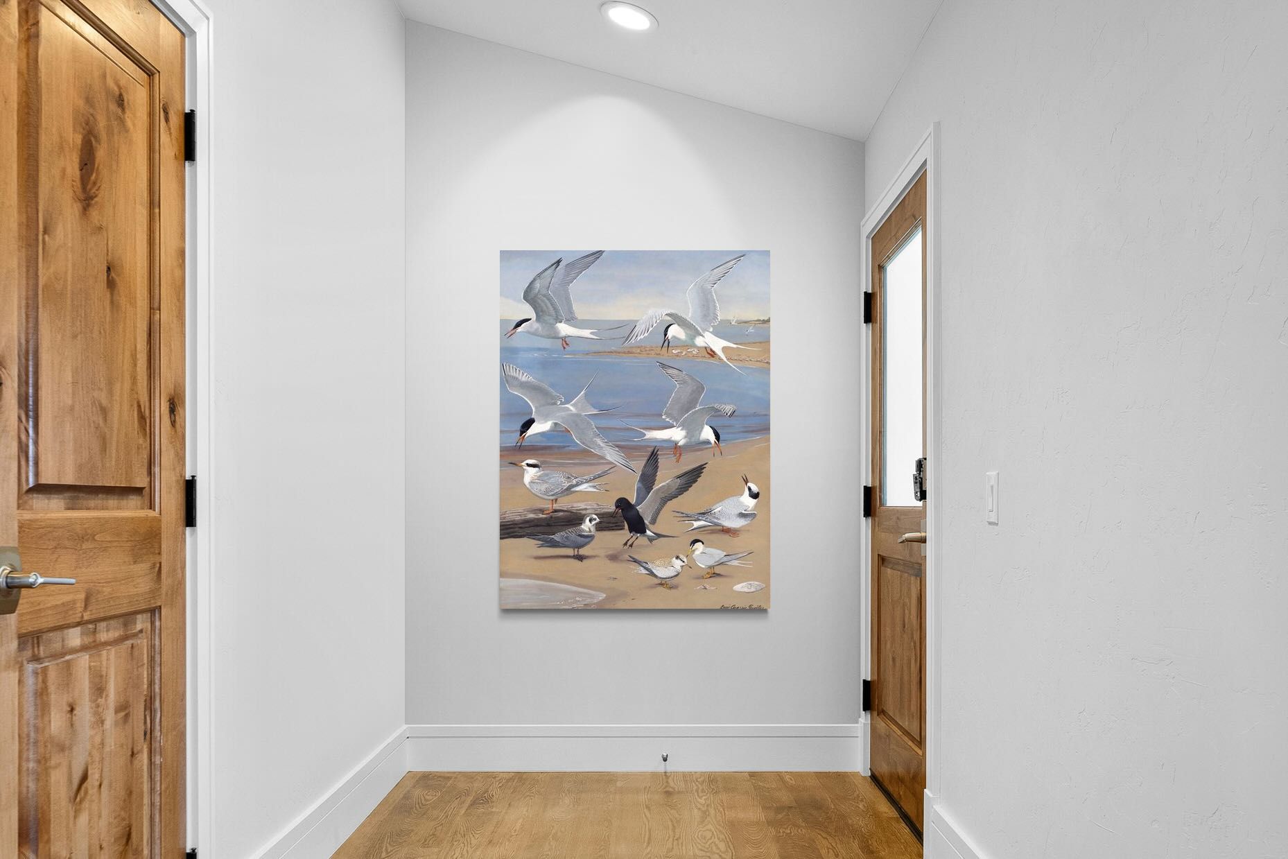 Pixalot ® Terns
