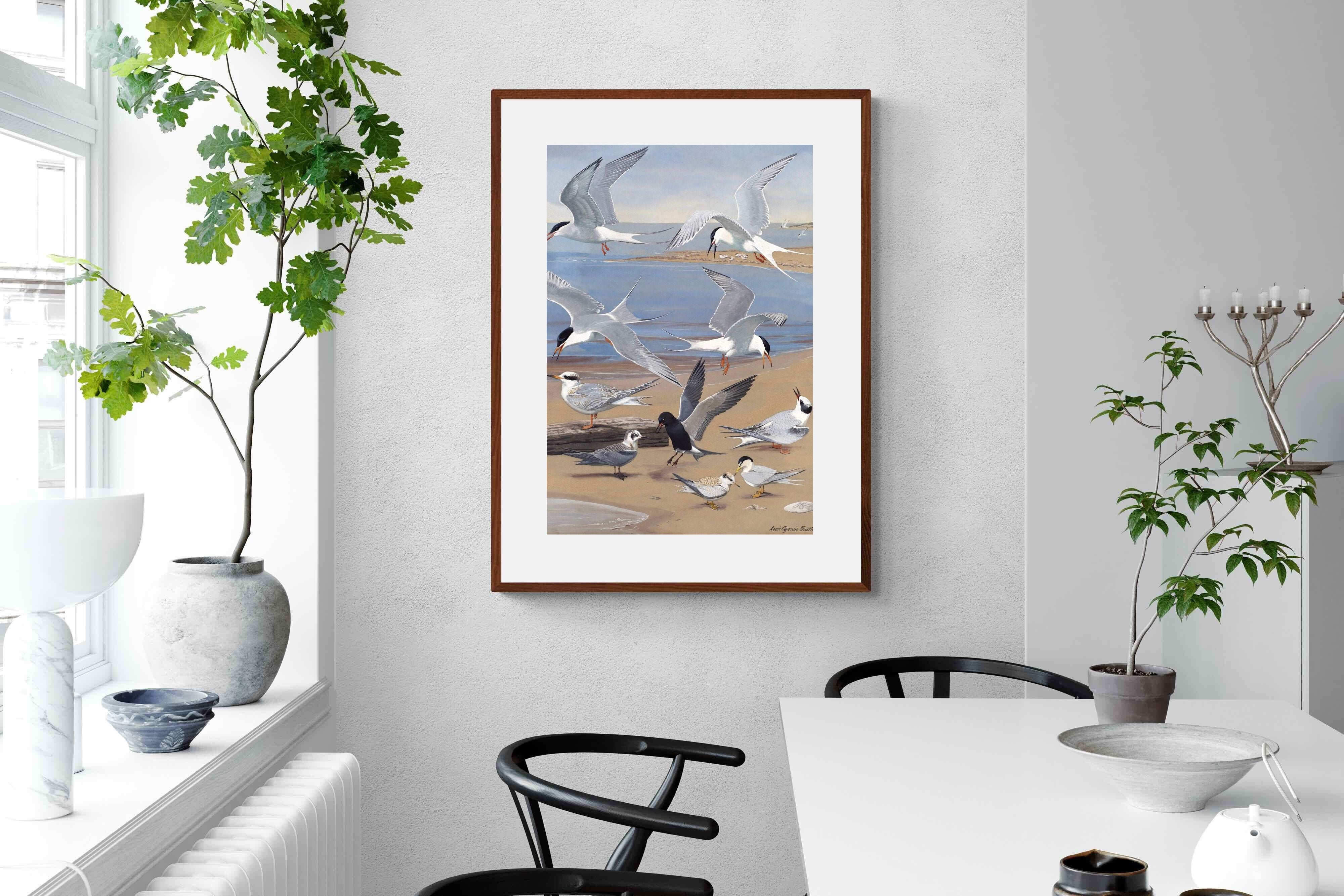 Pixalot ® Terns