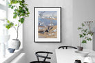 Pixalot ® Terns