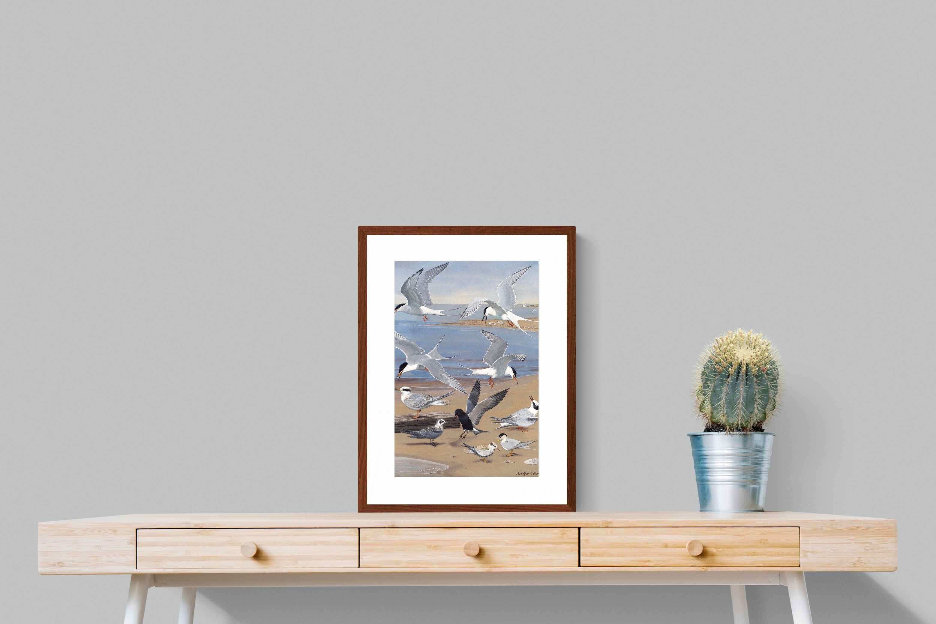 Pixalot ® Terns
