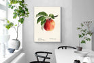 Pixalot ® Tetofka Apple