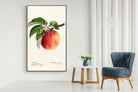 Pixalot ® Tetofka Apple