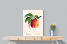 Pixalot ® Tetofka Apple