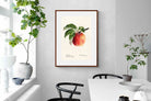 Pixalot ® Tetofka Apple