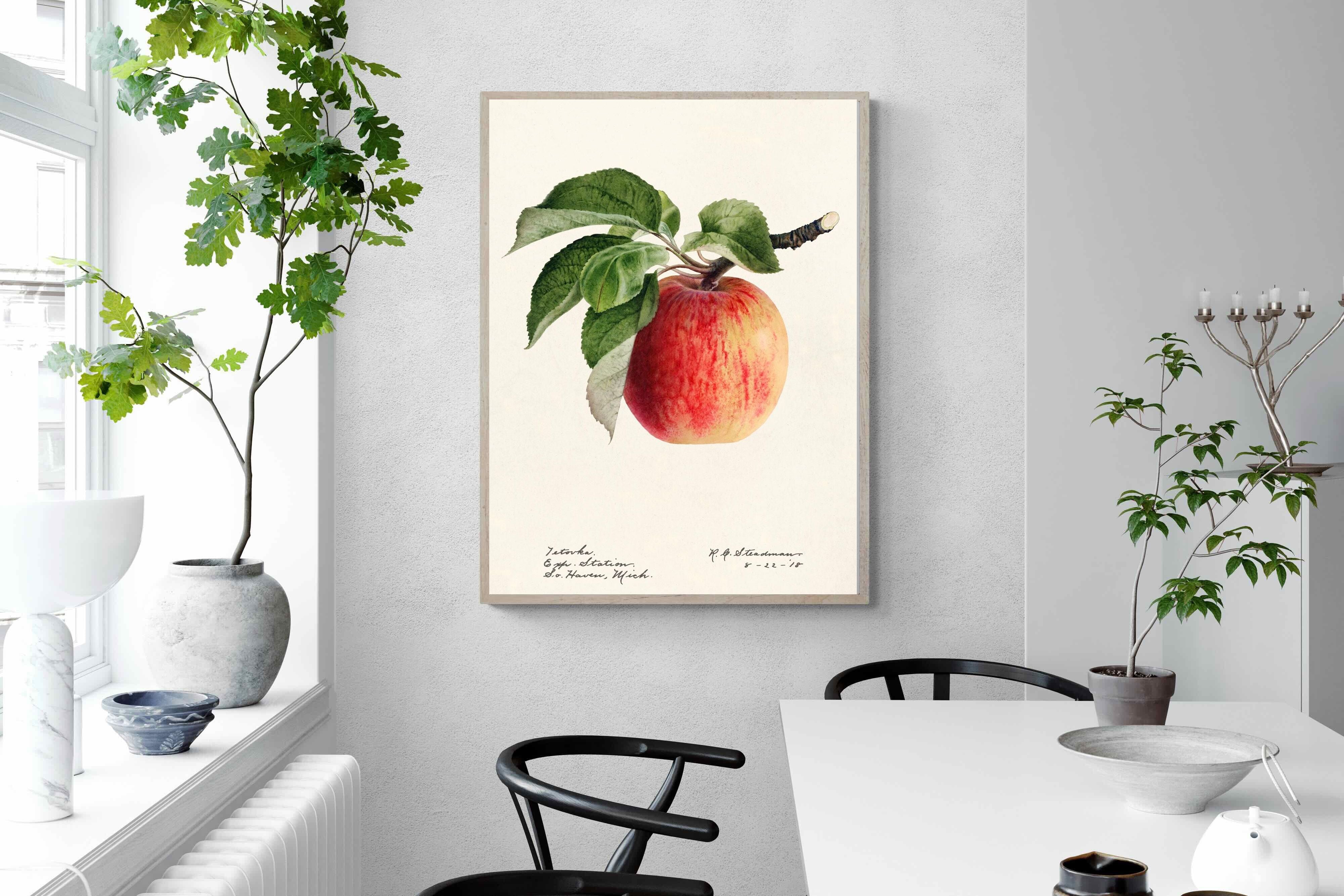 Pixalot ® Tetofka Apple