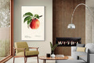 Pixalot ® Tetofka Apple