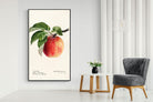 Pixalot ® Tetofka Apple