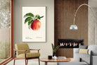 Pixalot ® Tetofka Apple